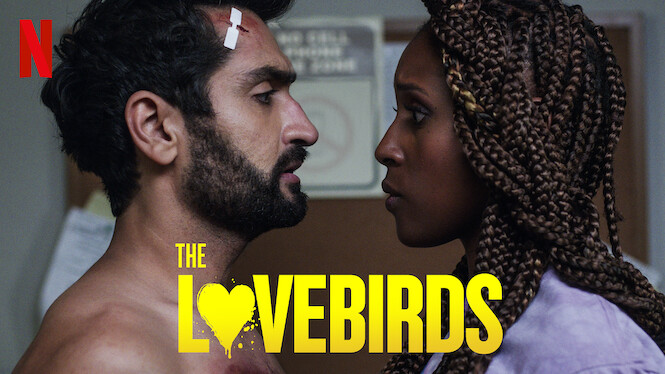 love bird series netflix